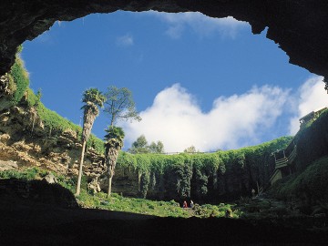 South Eastern Australia Discovery Tour